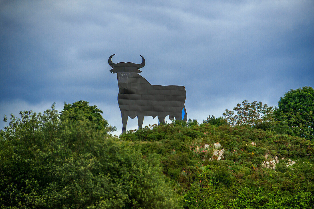 Osborne-Stier, Toro de Osborne, bei Covadonga, Picos de Europa, Spanien, Europa. Stier. Spanischer schwarzer Stier Toro de Osborne, traditionell auf einem Hügel. Inoffizielles Symbol von Spanien. Geschütztes Symbol für Weinbrandwerbung, Wahrzeichen. Porträt.