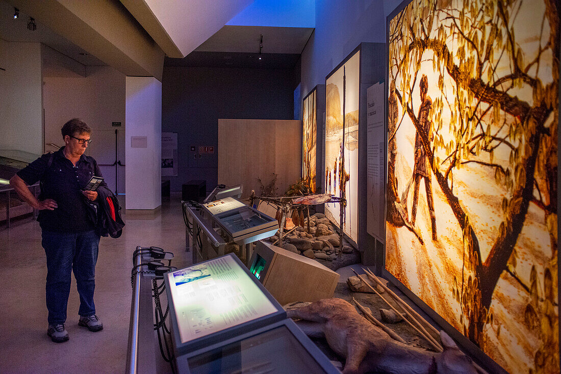 Paleolithic tools and replica of cave painting showing bison, National Museum and Research Center of Altamira, Santillana del Mar, Cantabria, Spain