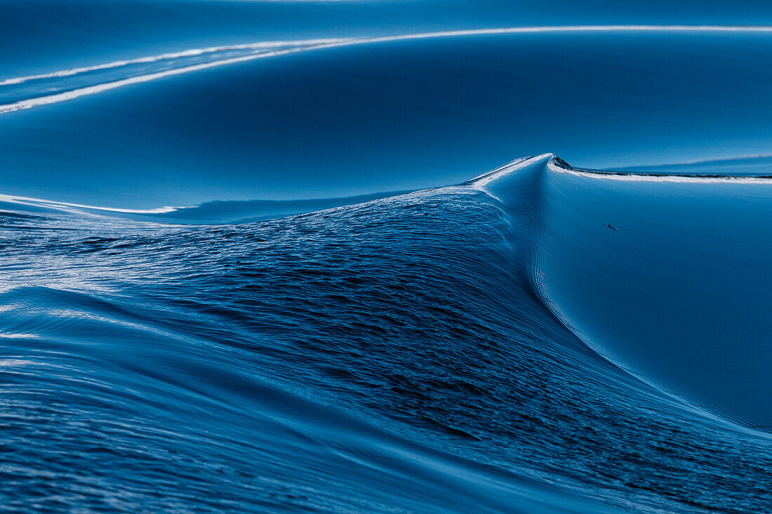 Larsen Inlet, Weddell Sea, Antarctica.