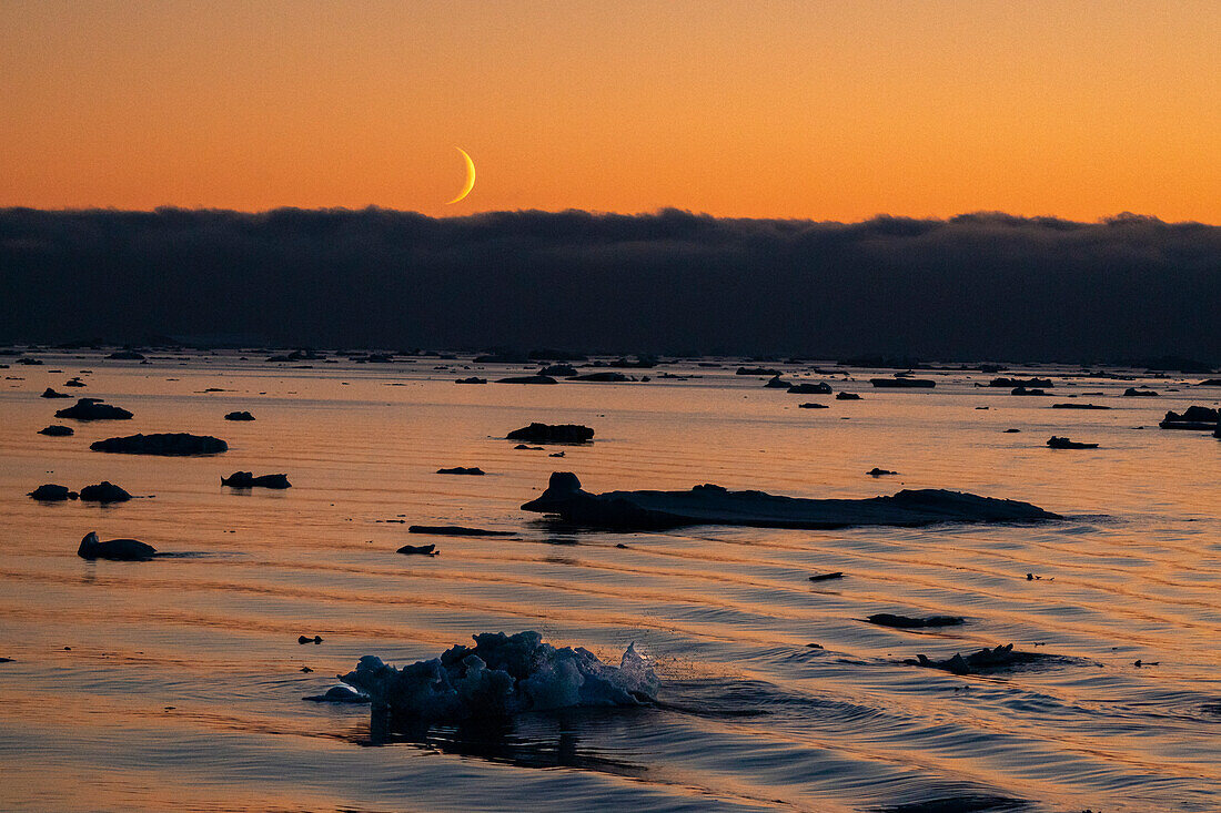 Mondaufgang in der Abenddämmerung im Weddell-Meer, Antarktis.