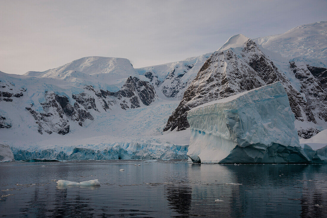 Skontorp cove, Paradise Bay, Antarctica.