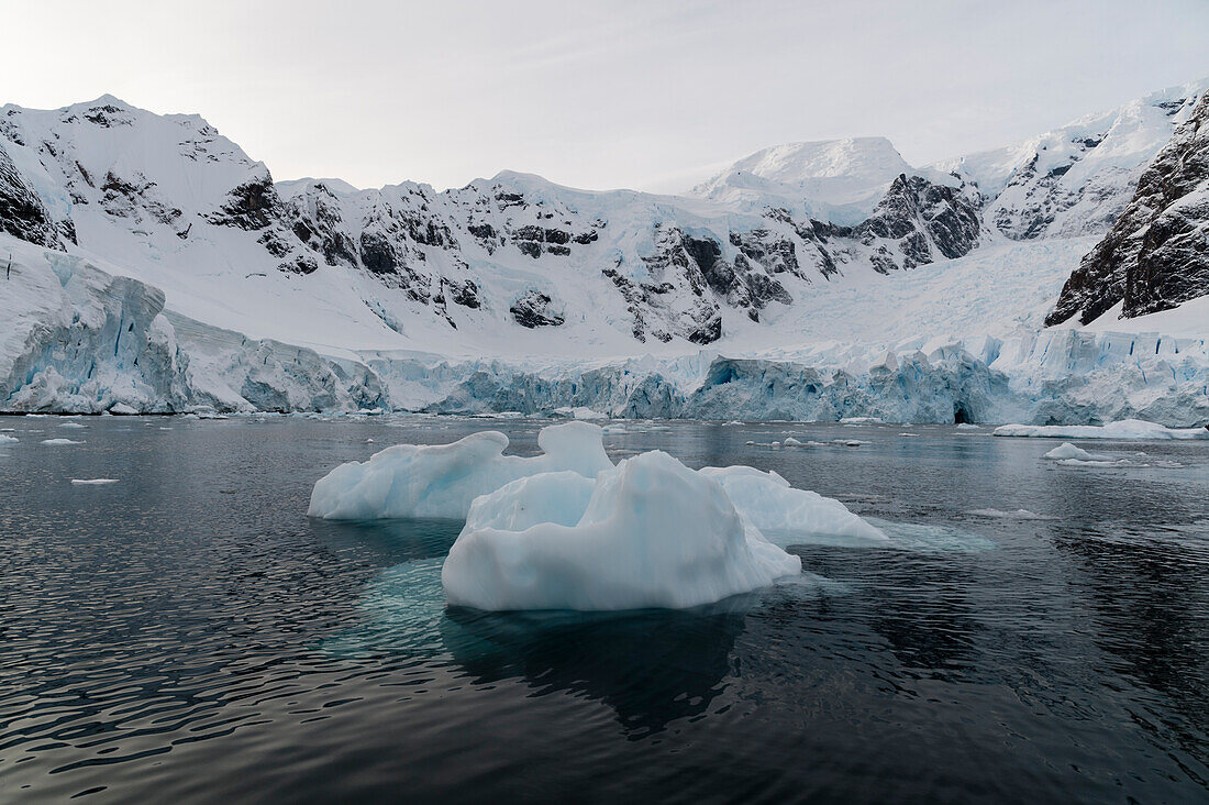 Skontorp cove, Paradise Bay, Antarctica.