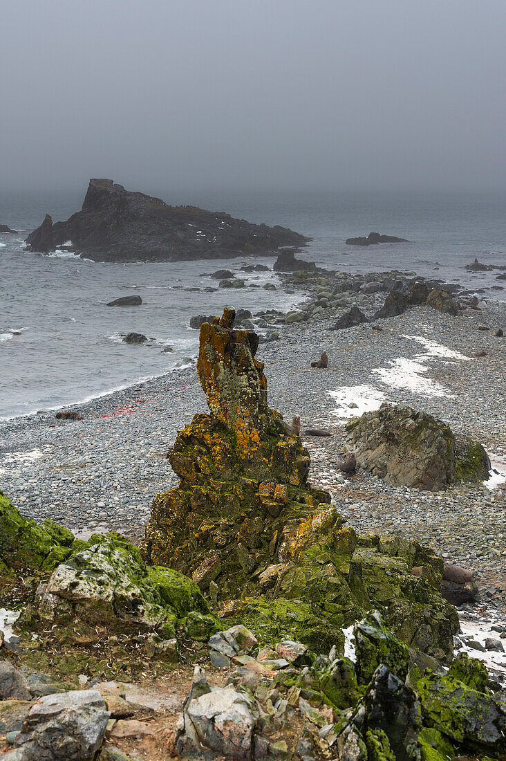 Landschaft an einem felsigen Strand, Half Moon Island, Antarktis. Antarktis.