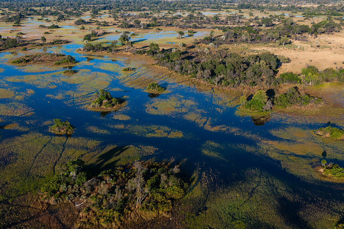 An aerial view of Okavango Delta floodplains. Okavango Delta, Botswana.