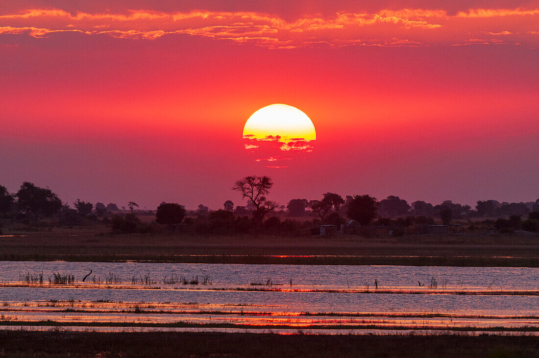 Ein farbenprächtiger Sonnenuntergang am Ufer des Chobe-Flusses. Chobe-Fluss, Chobe-Nationalpark, Kasane, Botsuana.