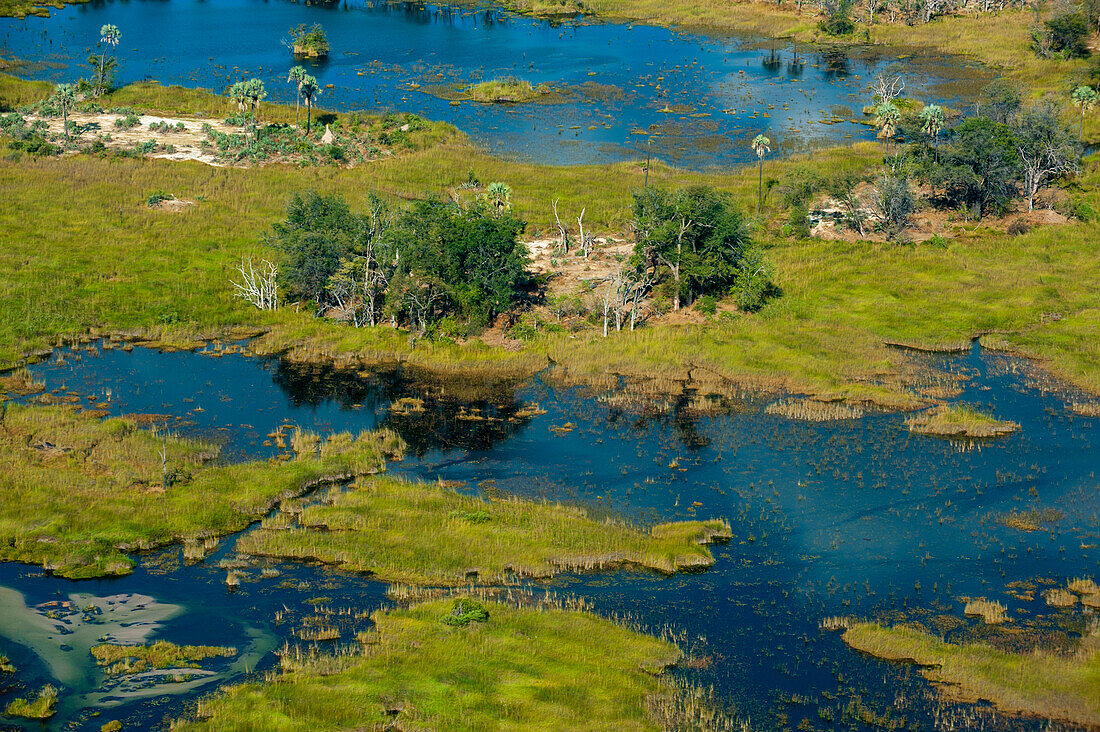 Ein Luftbild von Chief Island und den Gewässern des Okavango-Deltas. Chief Island, Moremi-Wildreservat, Okavango-Delta, Botsuana.