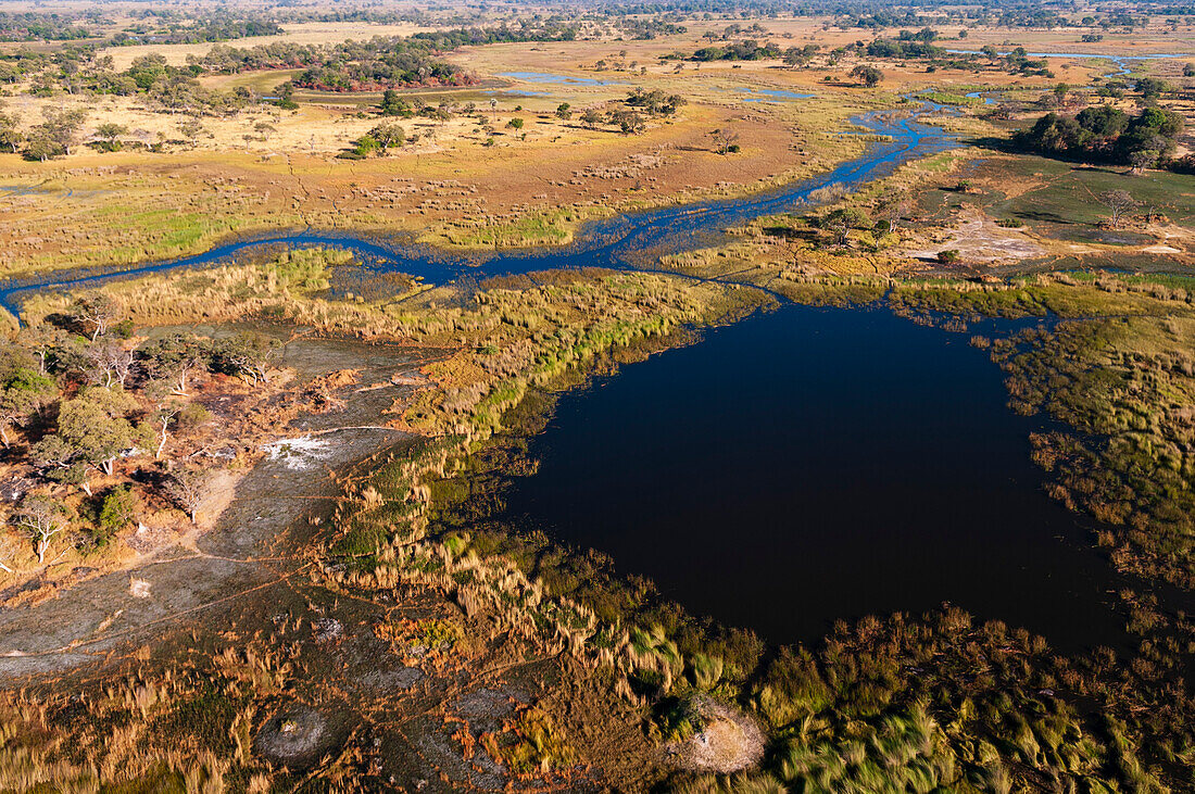 An aerial view of the Okavango Delta. Okavango Delta, Botswana.