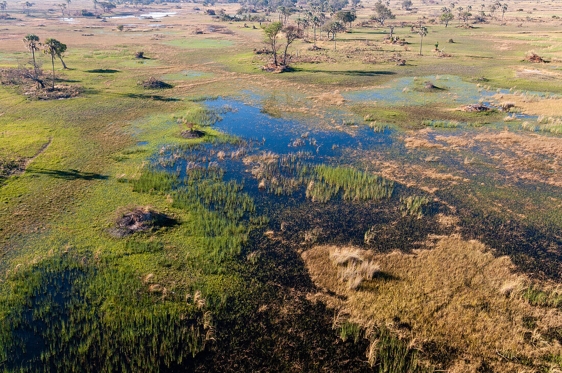 An aerial view of the Okavango Delta. Okavango Delta, Botswana.