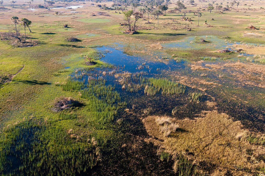 Eine Luftaufnahme des Okavango-Deltas. Okavango-Delta, Botsuana.