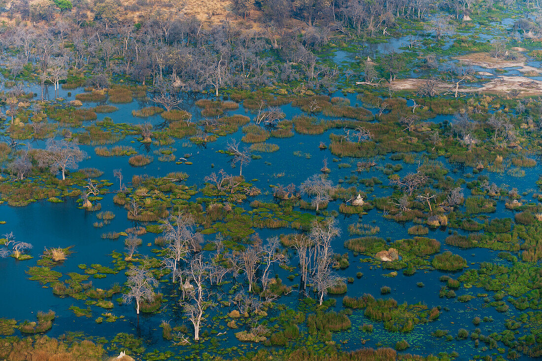 An aerial view of the Okavango Delta. Okavango Delta, Botswana.