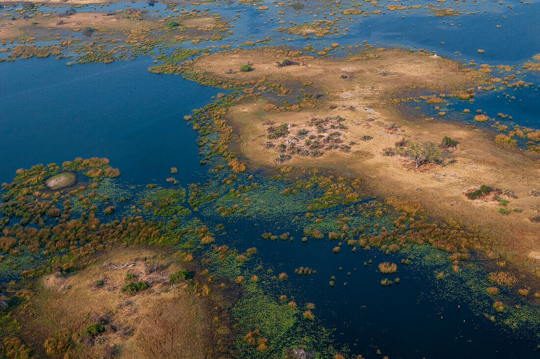 An aerial view of the Okavango Delta. Okavango Delta, Botswana.