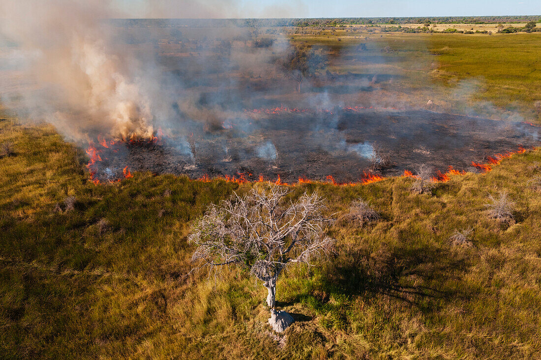 Luftaufnahme eines Buschfeuers im Okavango-Delta. Okavango-Delta, Botsuana.
