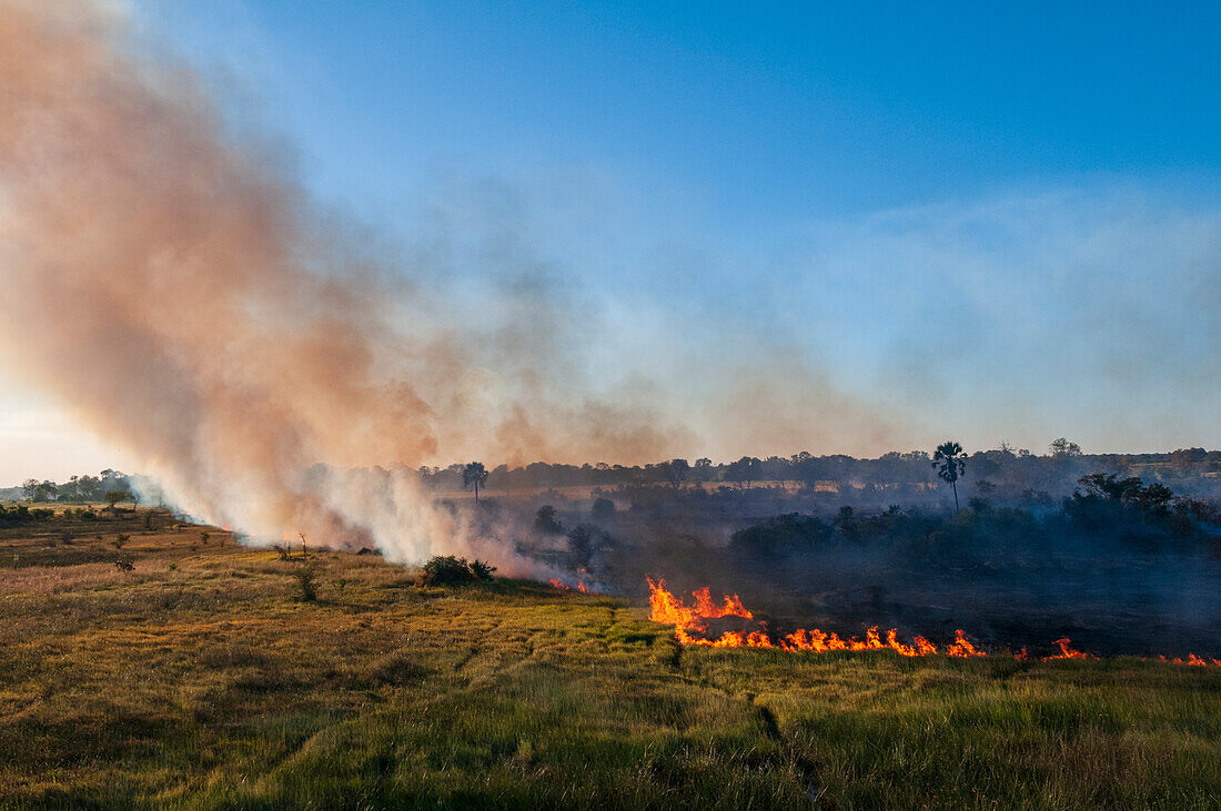 Luftaufnahme eines Buschfeuers im Okavango-Delta. Okavango-Delta, Botsuana.