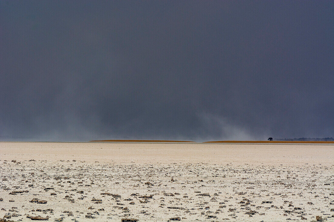 Ein Sturm nähert sich der Salzpfanne. Nxai Pan, Botsuana