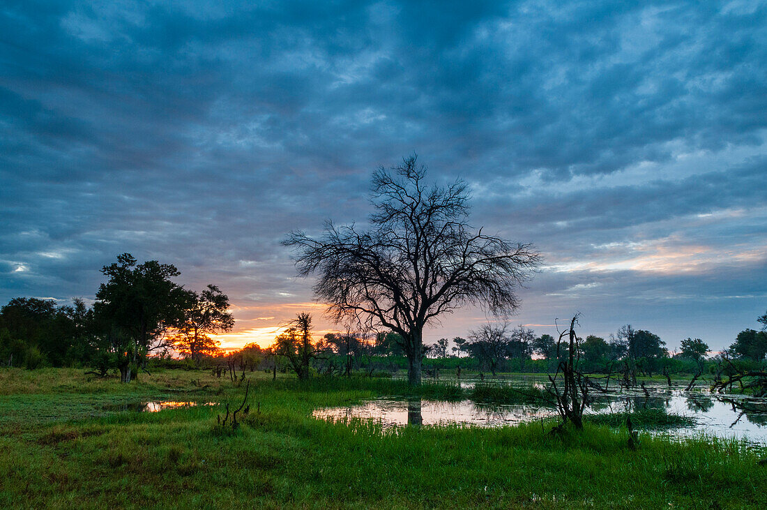 Ein Gewitter nähert sich dem Okavango-Delta bei Sonnenuntergang. Khwai-Konzessionsgebiet, Okavango, Botsuana.