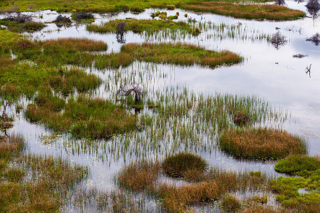 An aerial view of Okavango delta floodplains. Okavango Delta, Botswana.