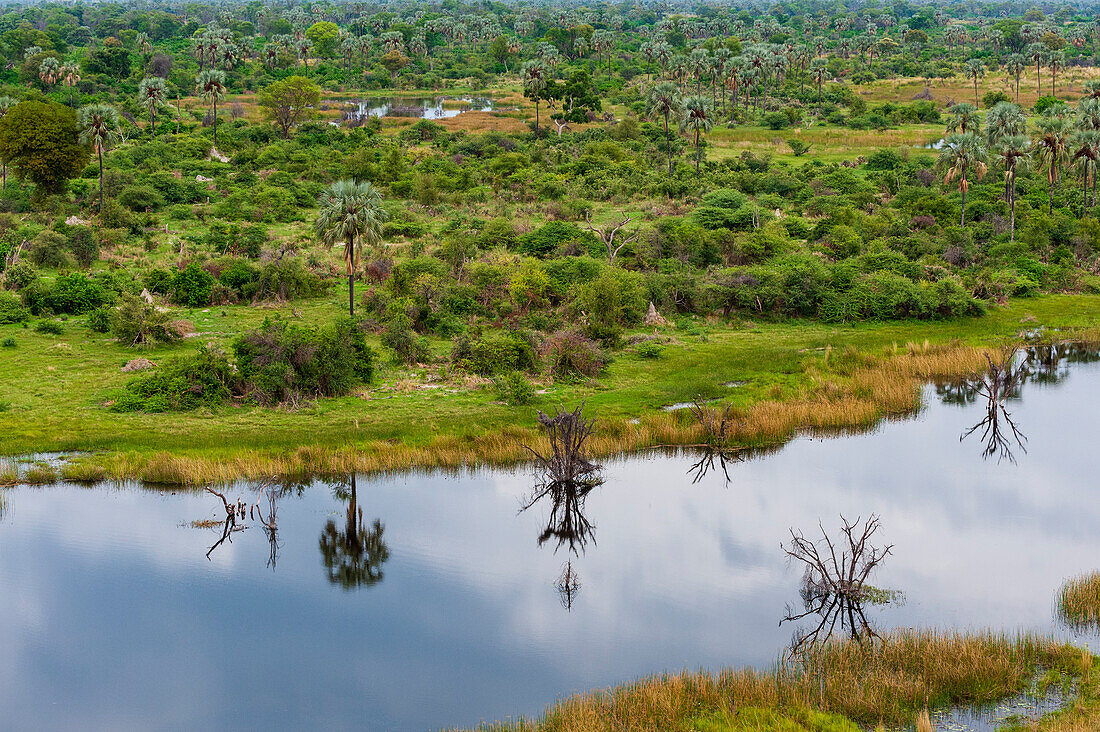 Eine Luftaufnahme der Überschwemmungsgebiete des Okavango-Deltas. Okavango-Delta, Botsuana.