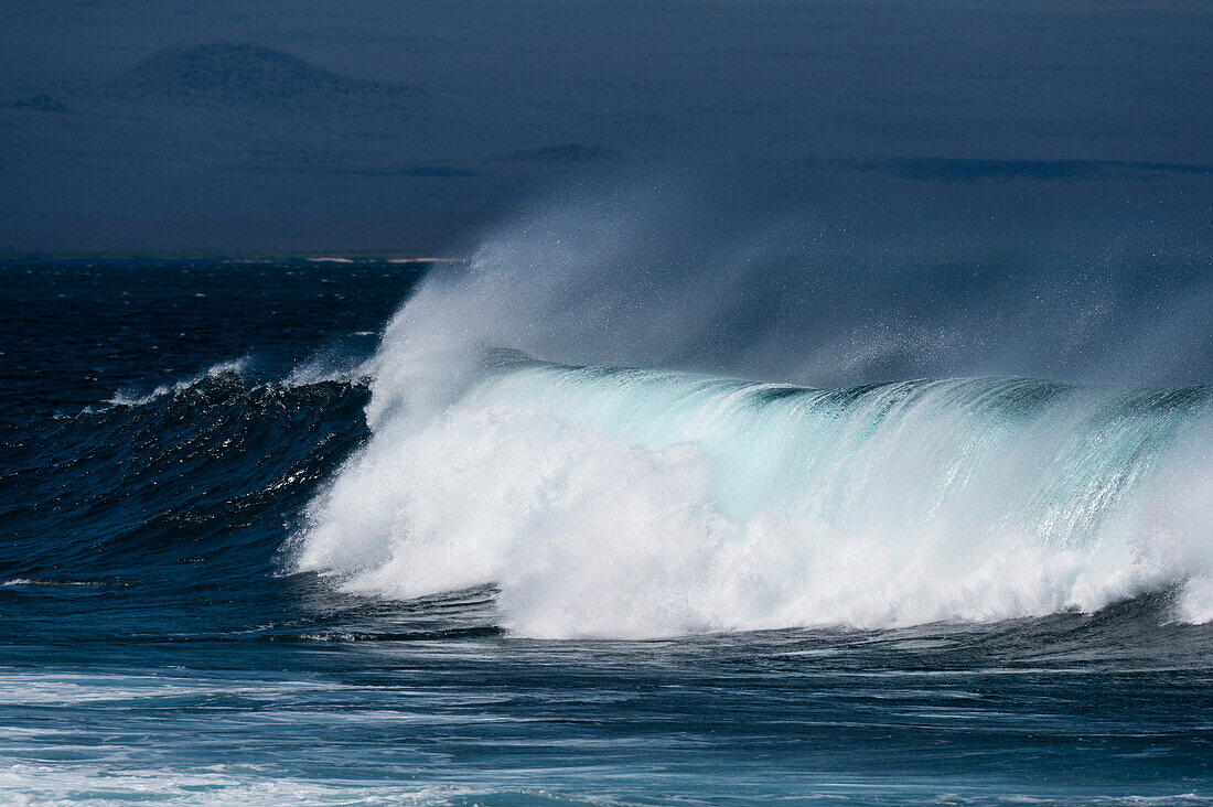 Wellen vor der Insel Seymour. Nord-Seymour-Insel, Galapagos, Ecuador