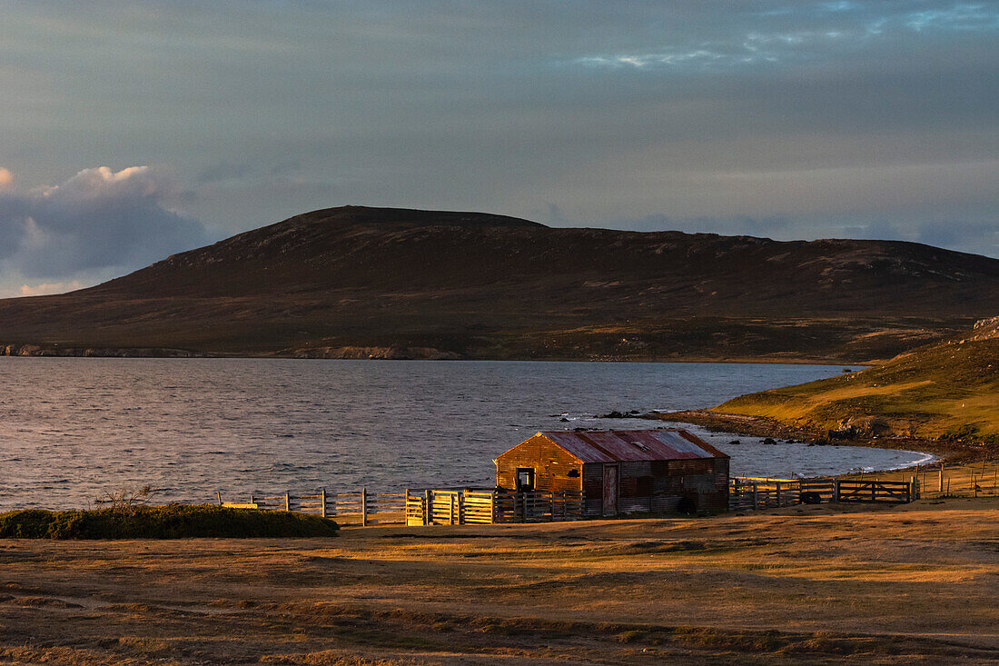 Die Küstenlinie von Pebble Island bei Sonnenuntergang. Pebble Island, Falklandinseln
