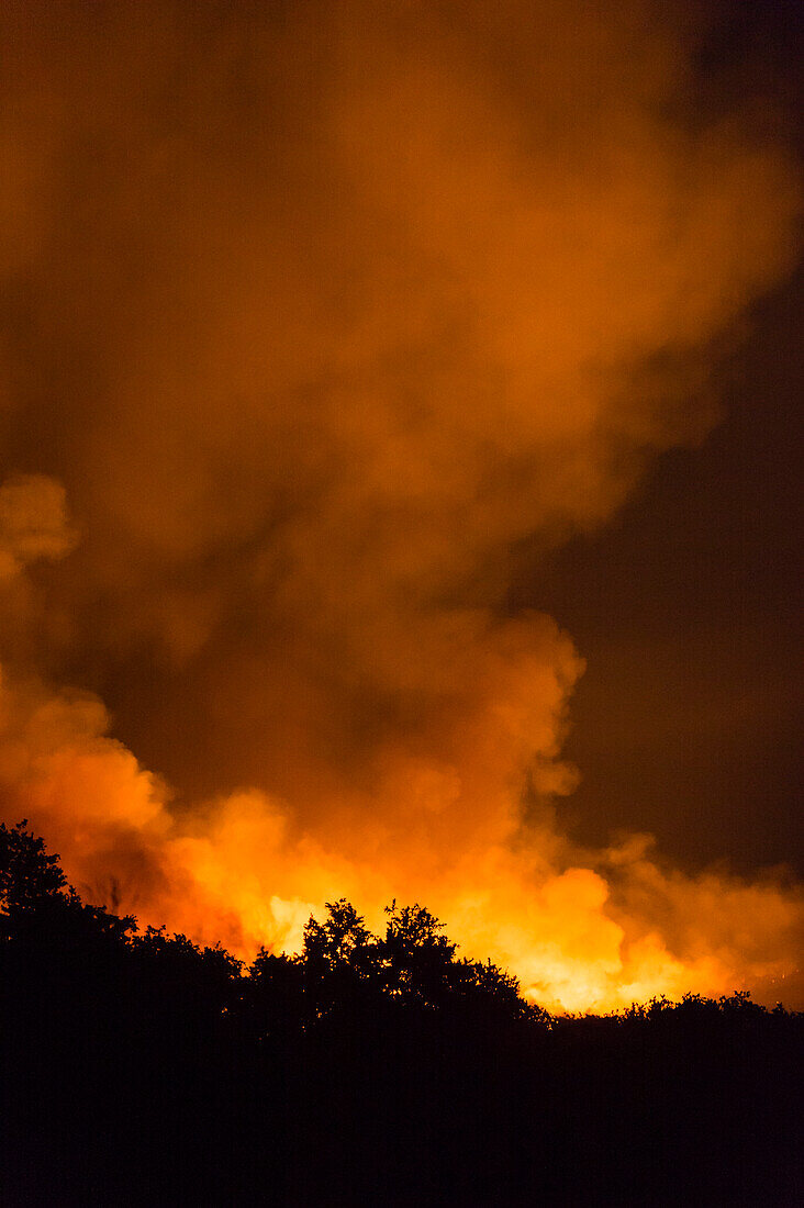 Ein Buschfeuer auf den Hügeln um den Savuti-Sumpf. Savuti, Chobe-Nationalpark, Botsuana