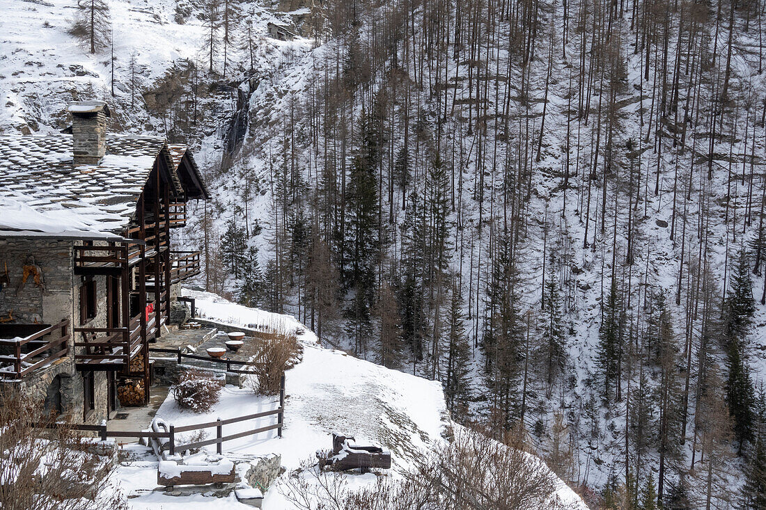 Gran Paradiso National Park, Aosta Valley, Italy.