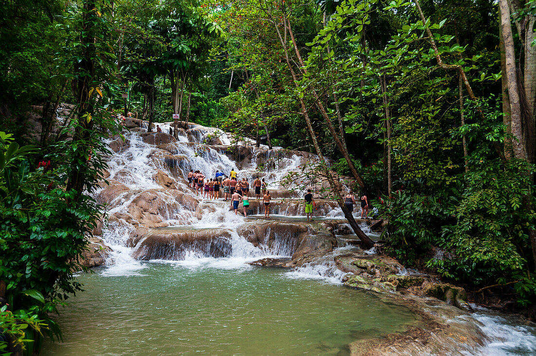 Touristen beim Klettern an den Dunn's River Falls in einer üppigen tropischen Landschaft. Dunn's River Wasserfälle, Ocho Rios, Jamaika.