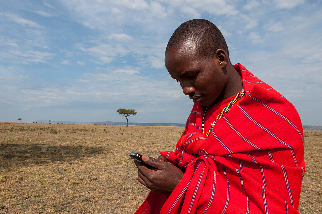 Ein Masai-Mann tippt eine Nachricht in ein mobiles Gerät. Masai Mara Nationalreservat, Kenia.