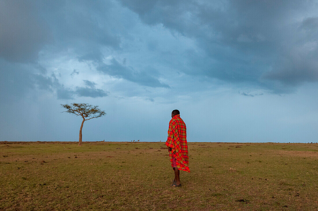 Ein Masai-Mann, der in der Savanne spazieren geht, während sich ein Regenschauer nähert. Masai Mara Nationalreservat, Kenia.