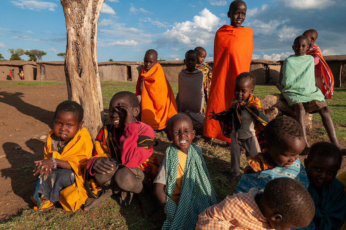 Eine Gruppe von Masai-Jungen versammelt sich um einen Baum außerhalb ihres Dorfes. Masai Mara Nationalreservat, Kenia.