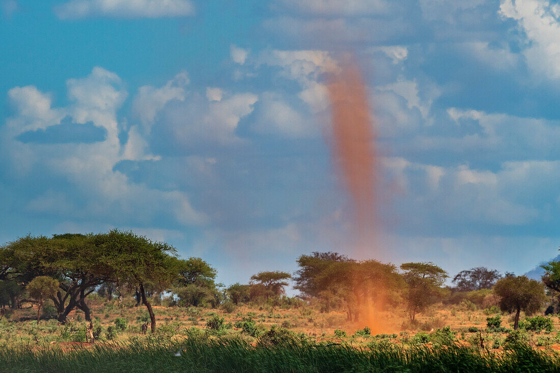Ein Staubtornado, auch bekannt als Staubteufel, geht im Tsavo-Nationalpark nieder. Voi, Tsavo-Nationalpark, Kenia.