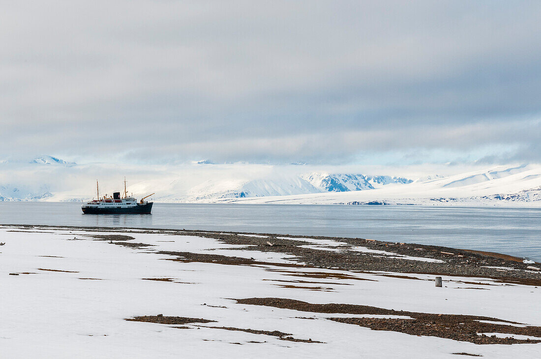 Ein Kreuzfahrtschiff ankert in der Mushamna-Bucht vor der Insel Spitzbergen. Insel Spitzbergen, Svalbard, Norwegen.