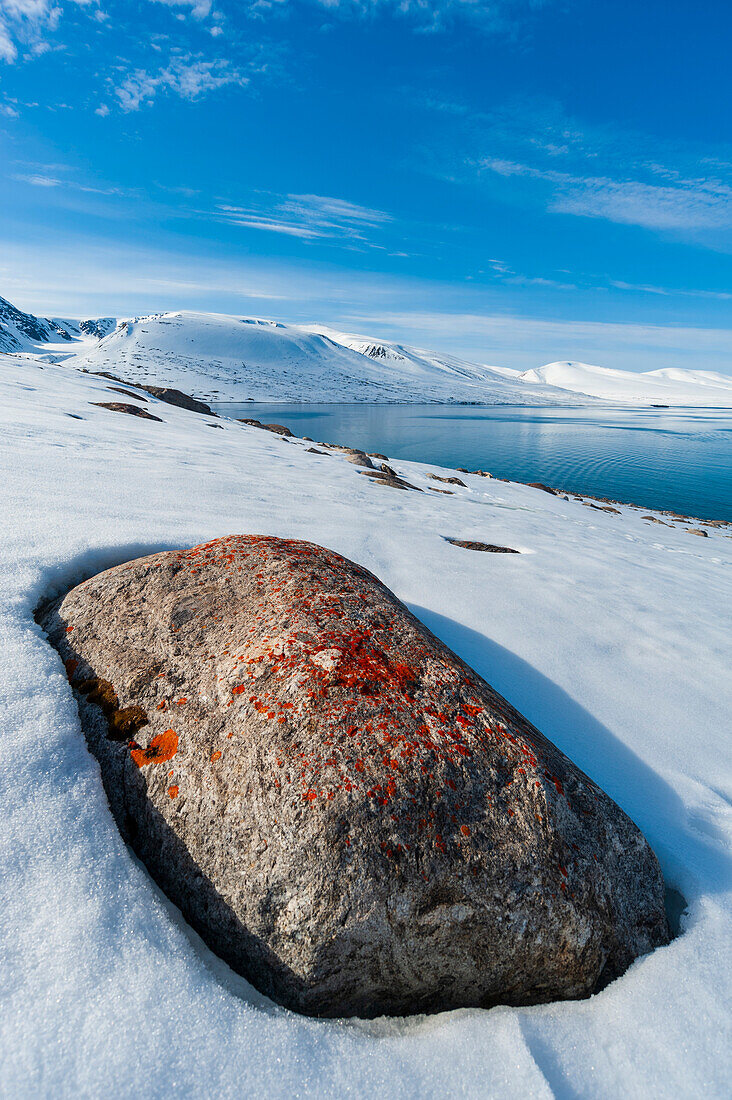 Flechten wachsen auf einem Strandfelsen am Ufer des Bockfjordes. Bockfjord, Insel Spitzbergen, Svalbard, Norwegen.
