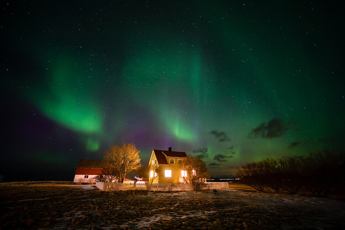 Nordlichter über einem Haus. Laukvik, Nordland, Norwegen.