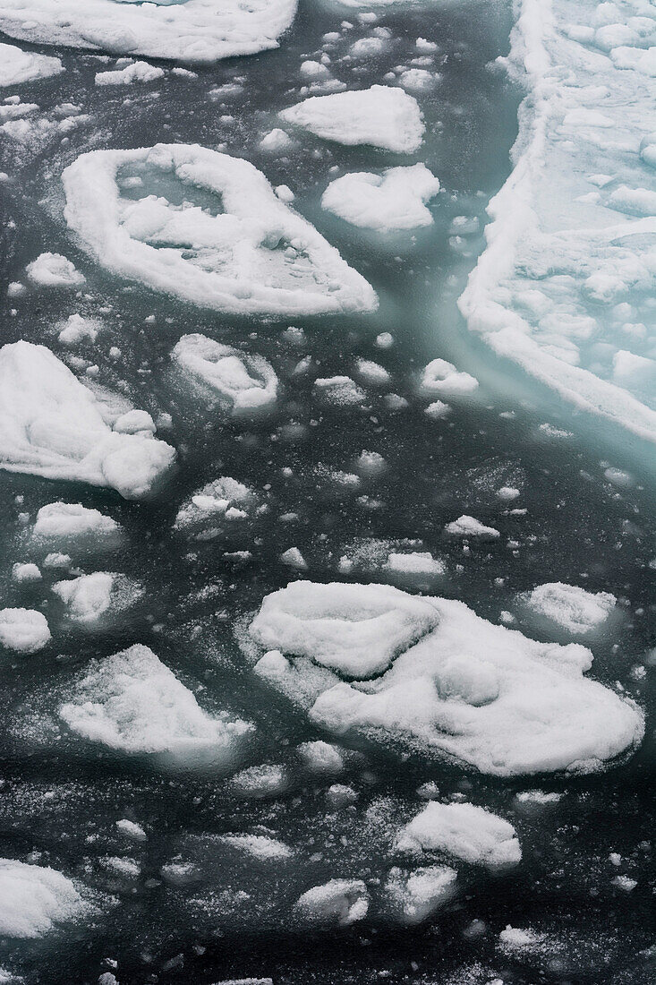 Ice floes in the Arctic ocean. North polar ice cap, Arctic ocean