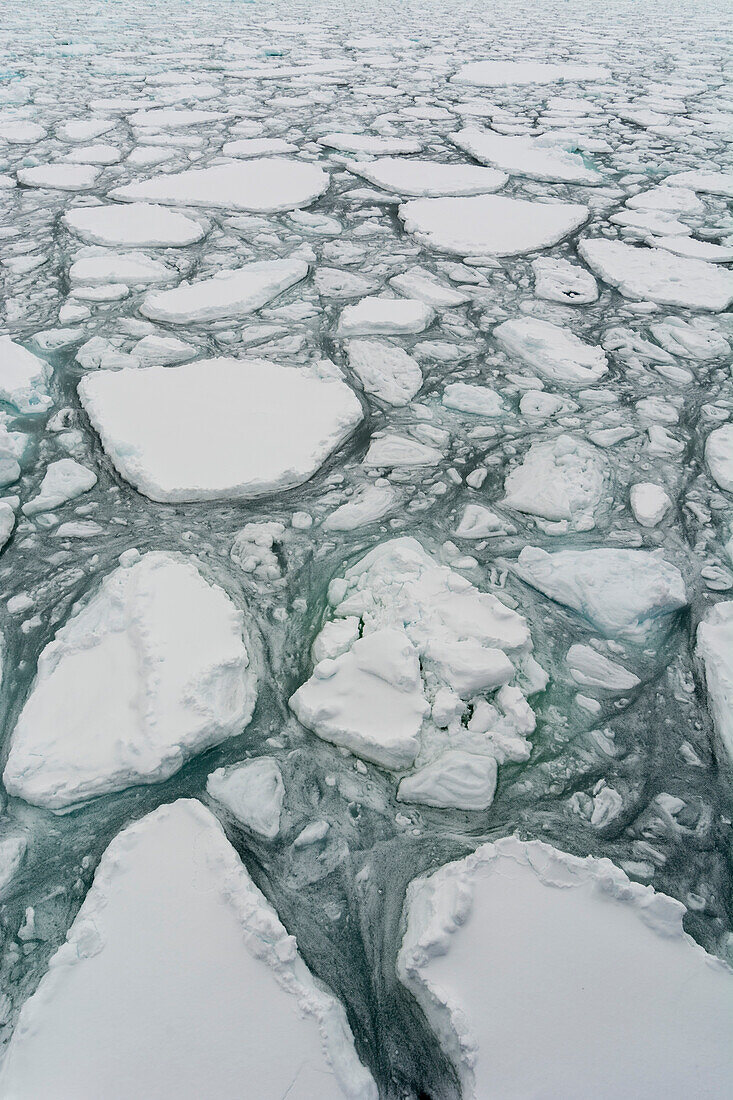 Ein Blick auf das schmelzende Meereis. Nordpolare Eiskappe, Arktischer Ozean