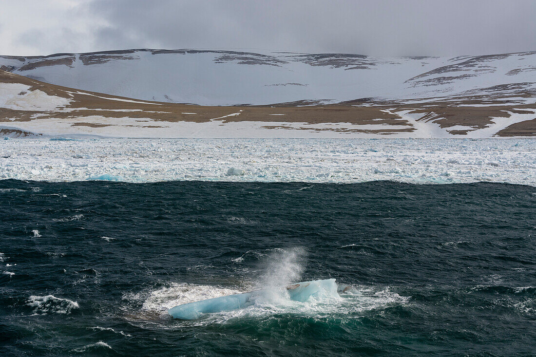 Eisschollen im Wahlenberg Fjord. Nordaustlandet, Svalbard, Norwegen