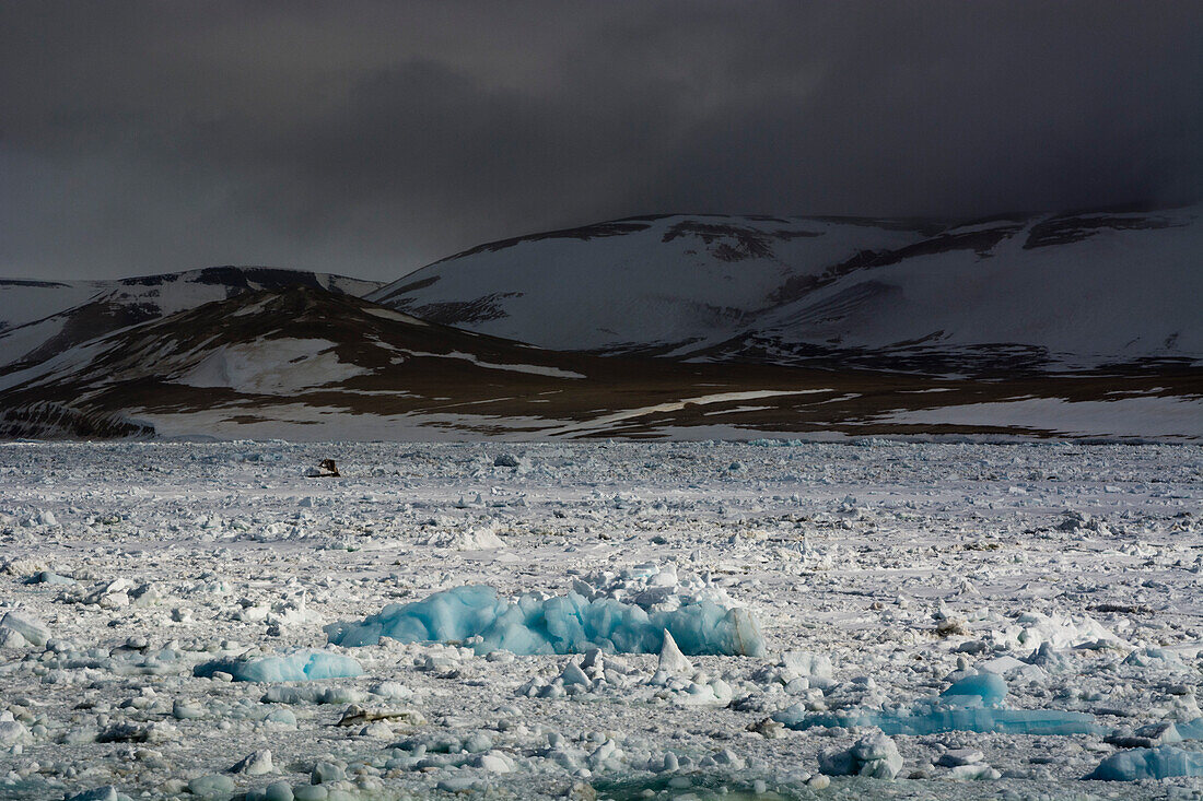 Sea ice at Wahlenberg fjord. Nordaustlandet, Svalbard, Norway