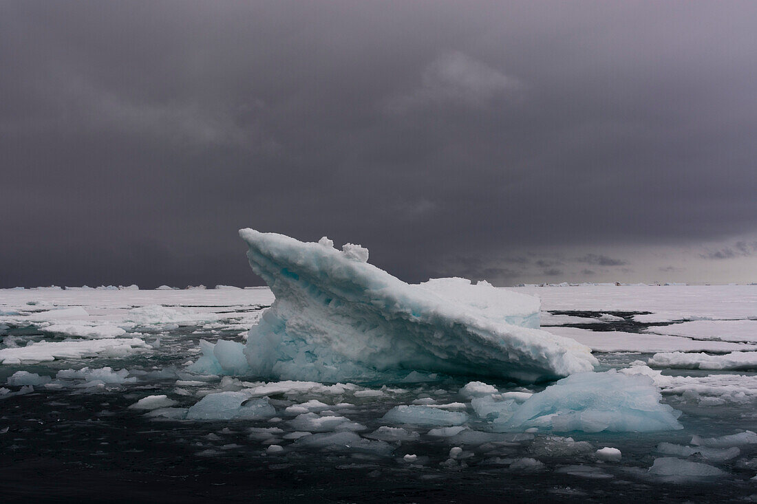 Sea ice at Brasvellbreen, south of Austfonna ice cap. Nordaustlandet, Svalbard, Norway