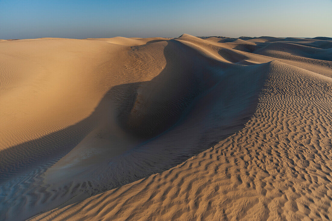 Die weißen Sanddünen der Khaluf-Wüste bei Sonnenaufgang. Khaluf-Wüste, Arabische Halbinsel, Oman.