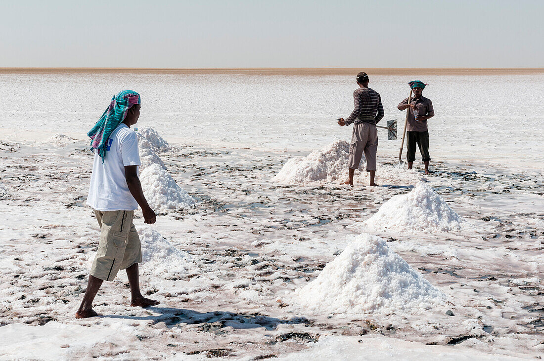 Männer ernten Salz in den Salinen bei Shannah. Shannah, Oman.