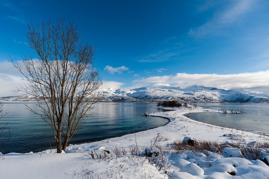 Ein malerischer verschneiter Fjord bei Lodingen. Lodingen, Lofoten-Inseln, Nordland, Norwegen.