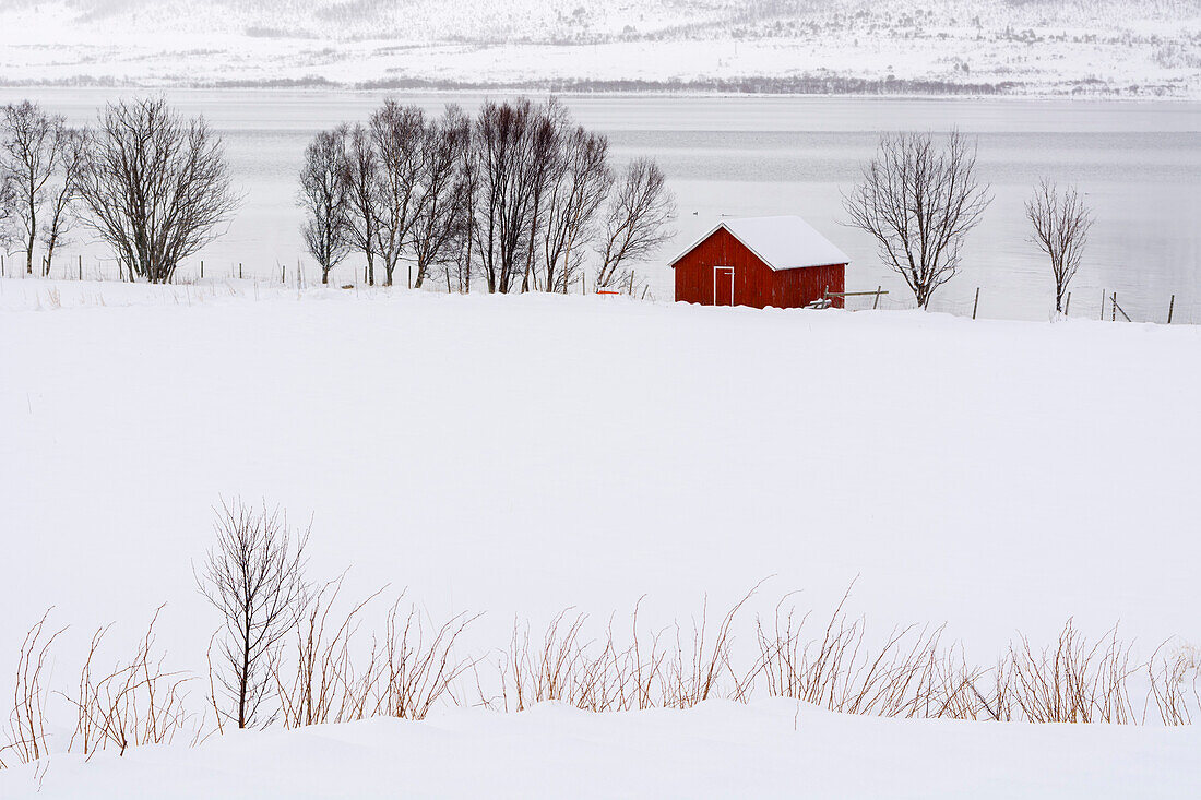 A lone red house in a snowy winter landscape. Fornes, Vesteralen Islands, Nordland, Norway.