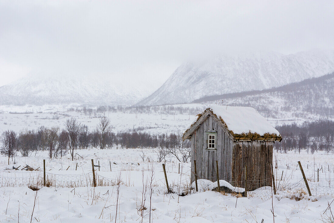Ein Holzschuppen in einer verschneiten Winterlandschaft. Fornes, Vesteralen-Inseln, Nordland, Norwegen.