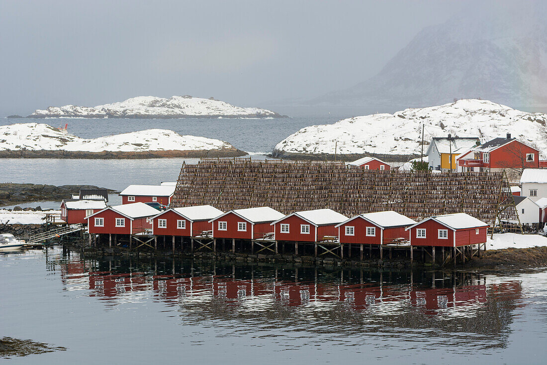 Rote Häuser und Kabeljau auf einem Trockengestell. Svolvaer, Lofoten-Inseln, Nordland, Norwegen.