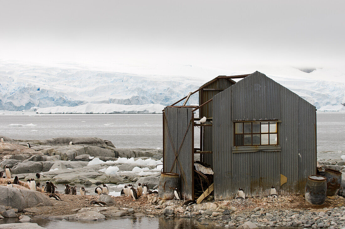 Antarctica, Antarctic Peninsula, Lemaire Channel, Petermann Island.