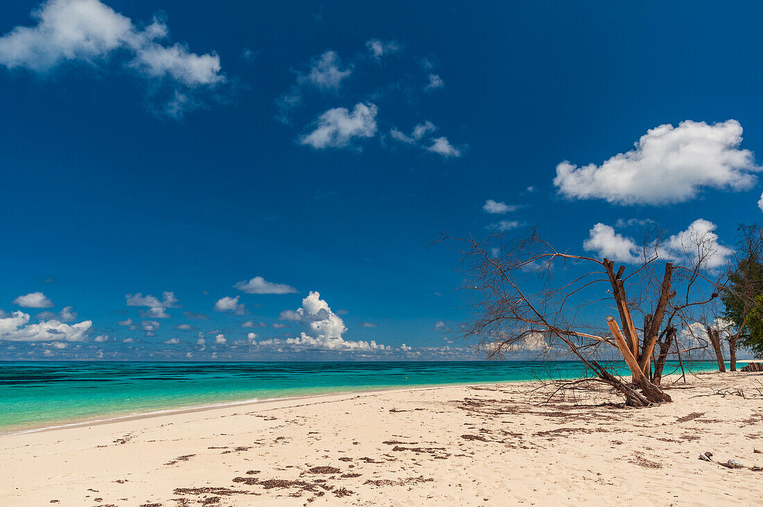 Ein tropischer Sandstrand am Indischen Ozean. Denis Island, Die Republik der Seychellen.