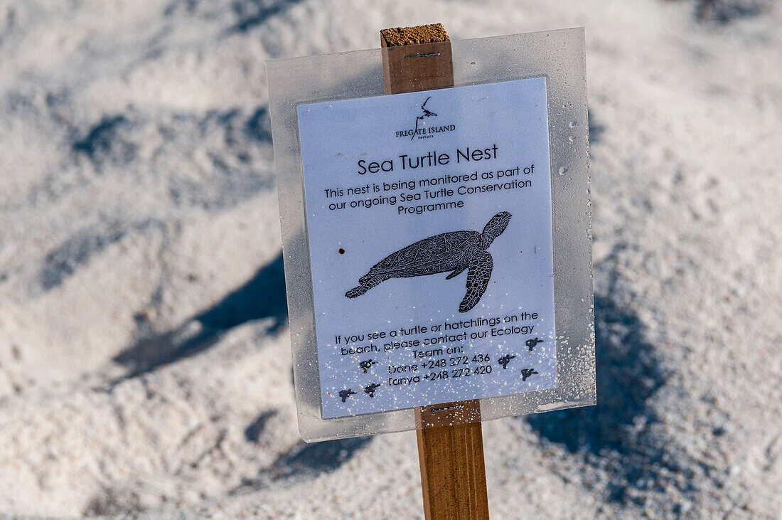 Ein Schild mit dem Hinweis auf Nistplätze für Meeresschildkröten am Strand von Anse Victorin. Strand Anse Victorin, Insel Fregate, Republik Seychellen.