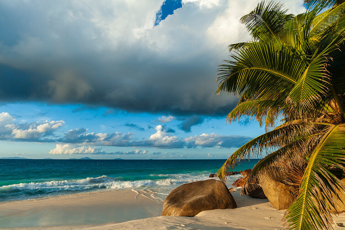 Palmen und große Felsbrocken an einem tropischen Strand. Strand Anse Victorin, Insel Fregate, Republik Seychellen.