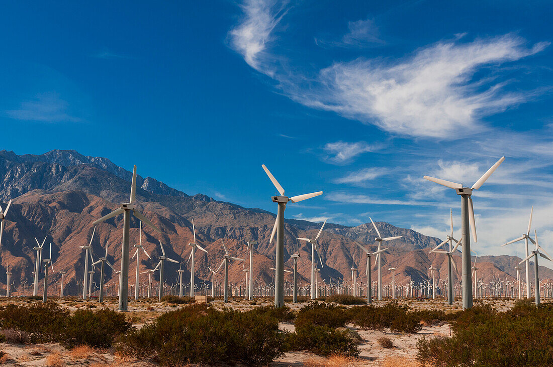 A wind farm in the San Gorgonio Pass near Palm Springs. San Gorgonio Pass, San Jacinto Mountains, Riverside County, California, USA.
