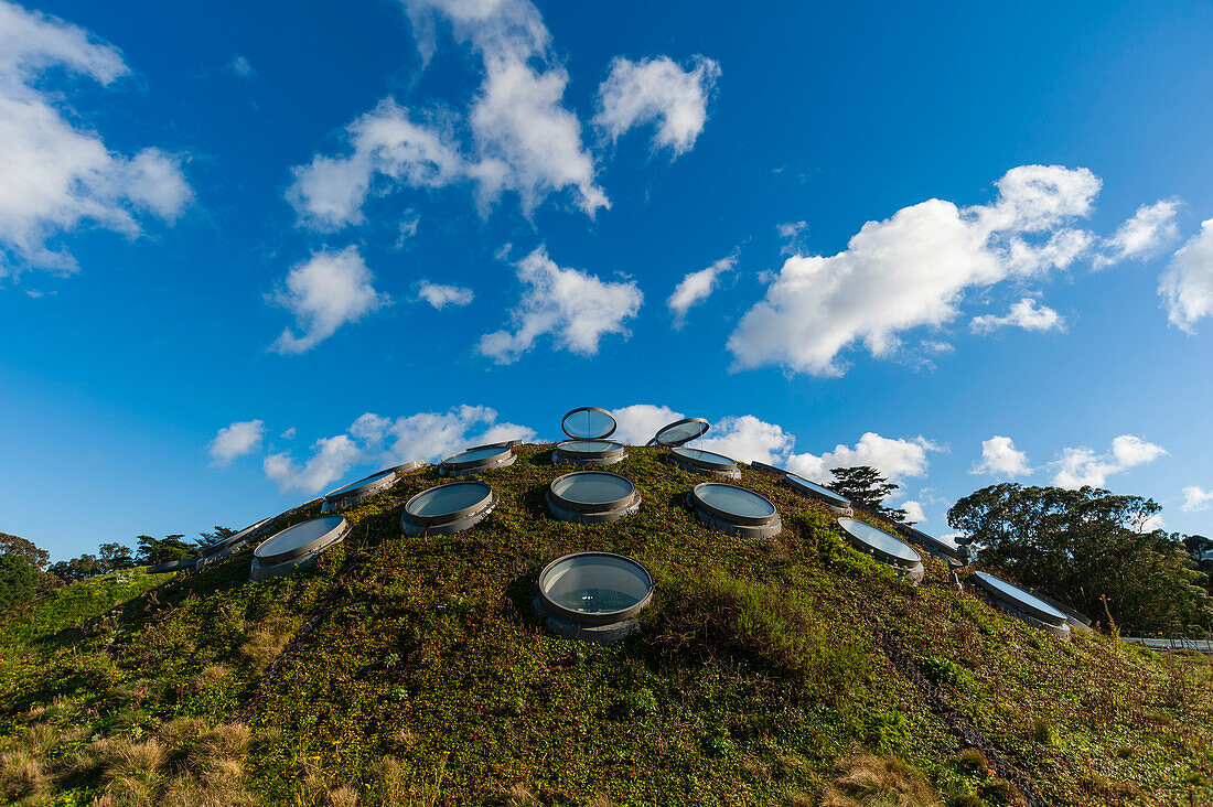 The living green, landscaped roof of the California Academy of Sciences. California Academy of Sciences, Golden Gate Park, San Francisco, California.